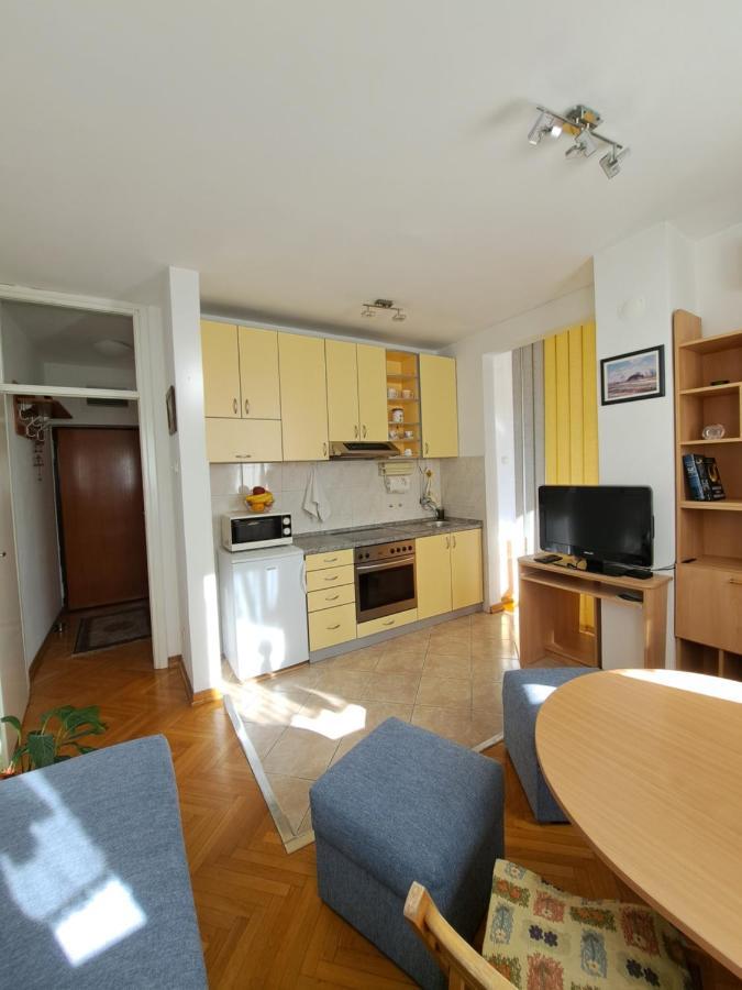 Ramonda Belgrad